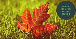 colora-la-tua-foglia-17-ottobre-2018
