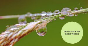 bastone-della-pioggia