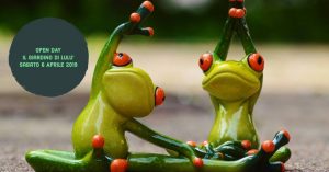 55618339_2129876650430963_6661641571999416320_n